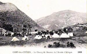Camp-des-Chenes - Armee d'Afrique - Bivouac - 1909